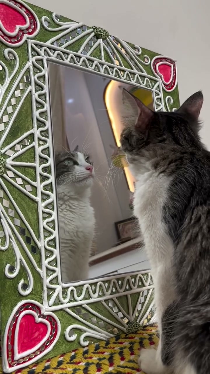 Lippan art mirror with mirror-work (studio cat approved)
